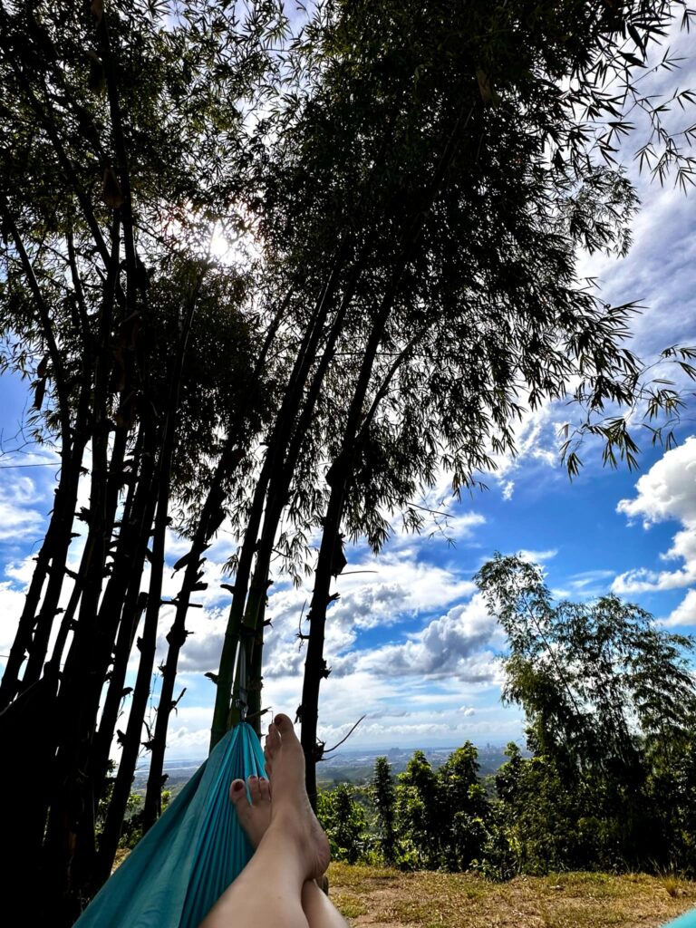 Relaxing Ambiance at the Hammock under the Bamboos